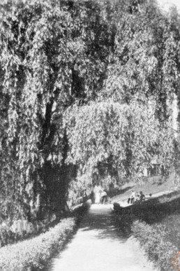 Gehweg am Brauereiteich