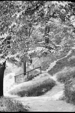 Weg durch Grünanlage