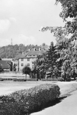 Blick vom Lohsenweg zum Brauereiteich