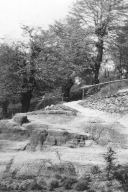 Felsen am Coßwitzanger