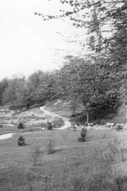 Blick auf den Coßwitzanger