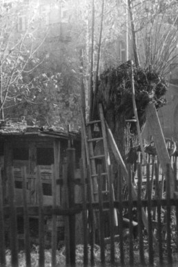 Gebiet um die alte Pferdeschwemme