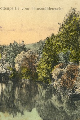 Sprotte am Hausmühlenwehr