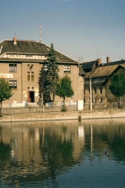 Blick über den Brauereiteich