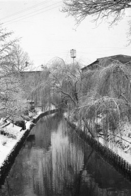 An der winterlichen Sprotte