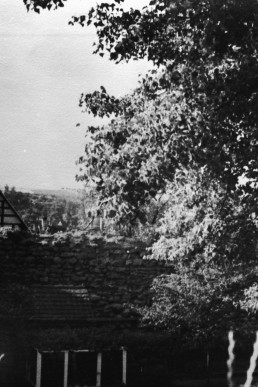 Rathaus mit Stadtmauer