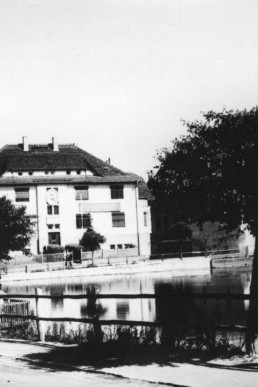 Blick über den Brauereiteich