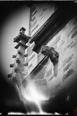 Wasserspeier an der Stadtkiche St. Nicolai