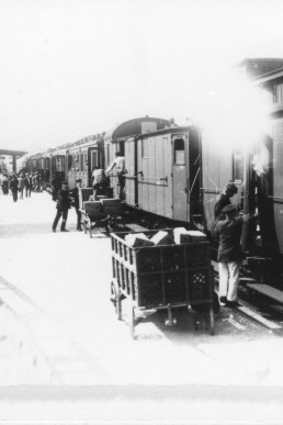 Zugankunft im Bahnhof