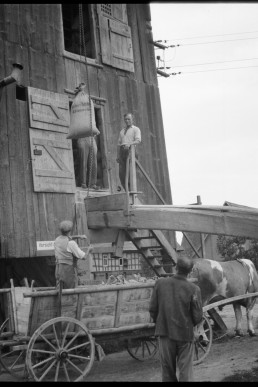 Pferdefuhrwerk vor Mühle