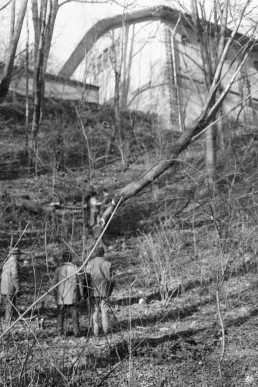 Holzfällarbeiten Seufzer Allee