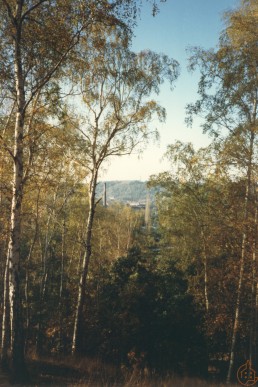 Blick von der Belßner Höhe auf die westliche Stadt