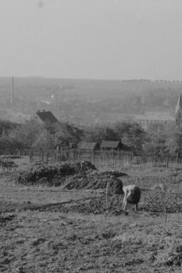 Blick vom Wartenberg zur Katholischen Kirche und zum Robert-Koch-Viertel