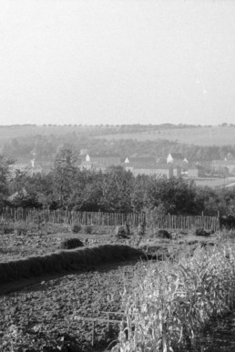 Blick vom Wartenberg zur Katholischen Kirche und zum Robert-Koch-Viertel