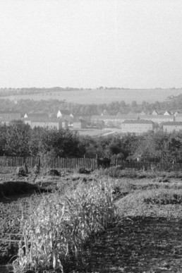 Blick vom Wartenberg zum Robert-Koch-Viertel