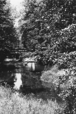 Blick von der Uferstraße auf das Hausmühlenwehr