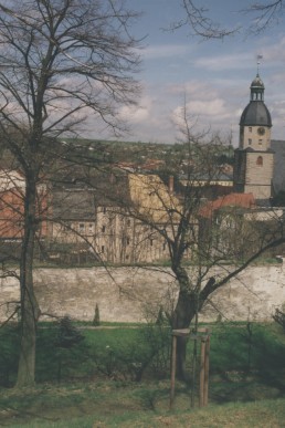 Blick vom Eichberg auf die  Stadtmauer, Rathaus und Kirche