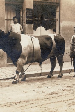 Fleischerei von Emil Schreck