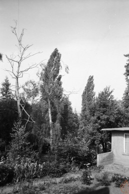 Garten unterhalb vom Wartenberg