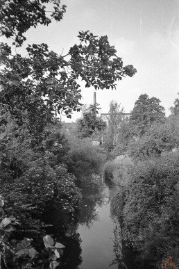 Blick vom Stadtparkt in Richtung Firma Jähler (Grenzstraße)