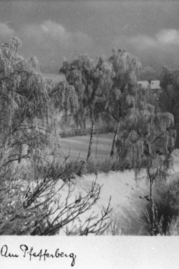 Am Pfefferberg im Winter