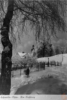 Am Eichberg im Winter