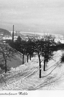 Crimmitschauer Hohle im Winter