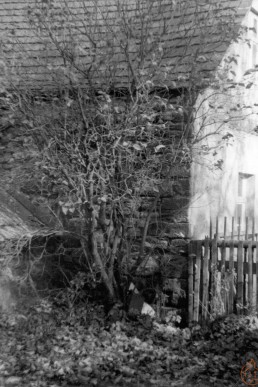 Reste der Stadtmauer im Brauhof