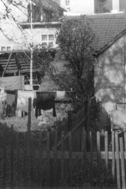 Reste der Stadtmauer im Brauhof