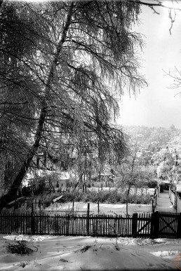 winterlicher Eichberg