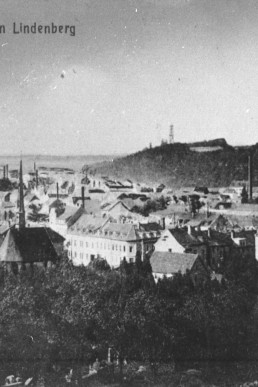 Blick vom Lindenberg