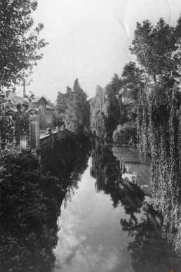 Sprotte am schwarzen Steg