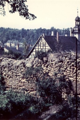 Blick vom Eichberg auf das Rathaus, die Stadtmauer