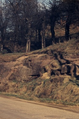 Unterer Bundsandstein-Felsen am Cosswitzanger