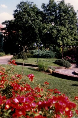 Blick aus dem Stadtpark in Richtung Knopfmuseum
