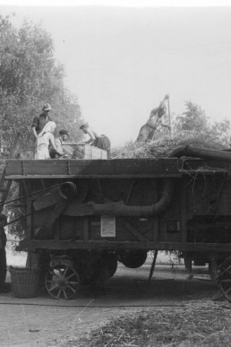 Dreschmaschine an Baum's Scheune