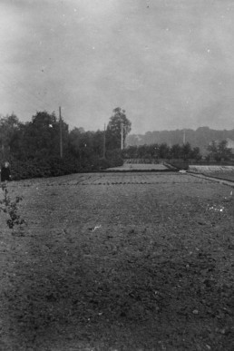 Schmölln Gärtnerei Hohe Straße